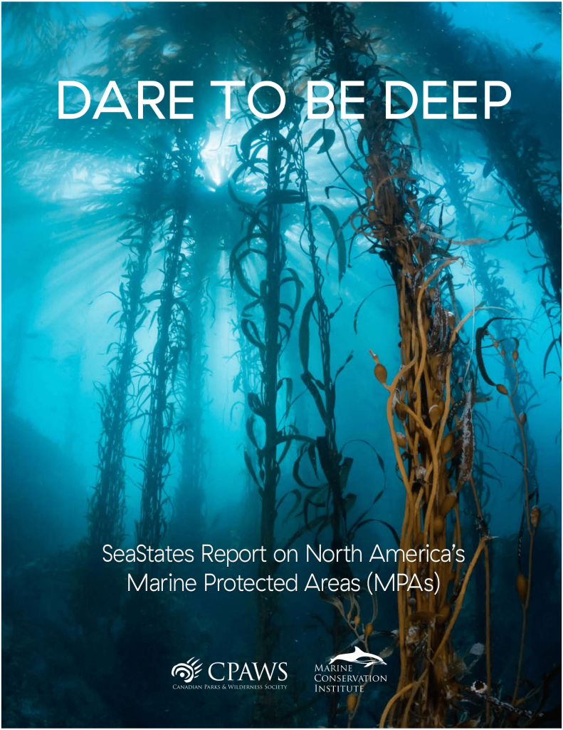 cpaws_daredeep2016_report_2pg_fnlmr_rev3_titlepage-1